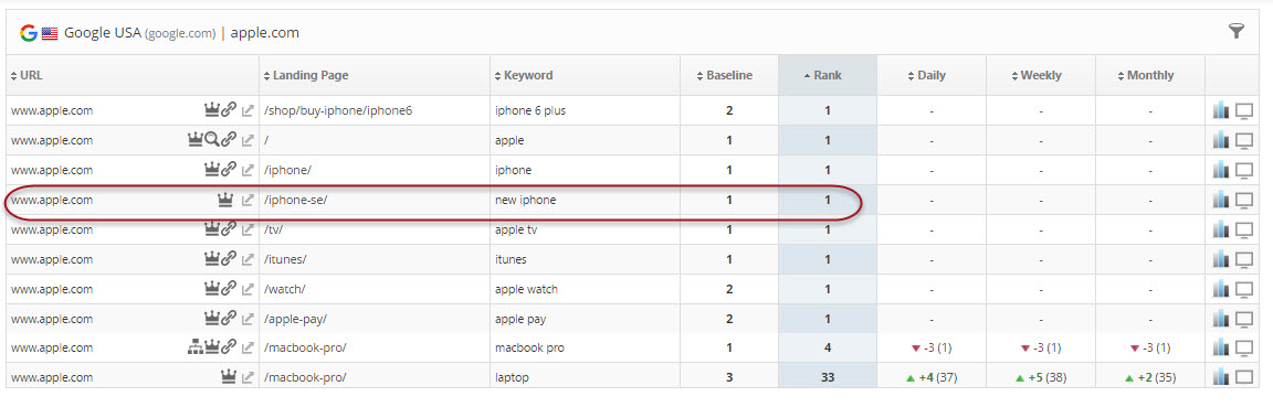 Rank Tracking dashboard