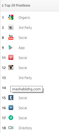 Brand Top 20 SERP Positions