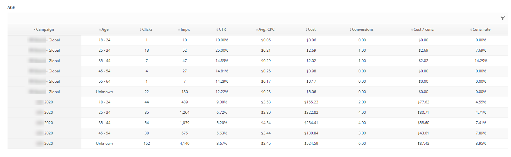 Google Ads Age Demographics Table